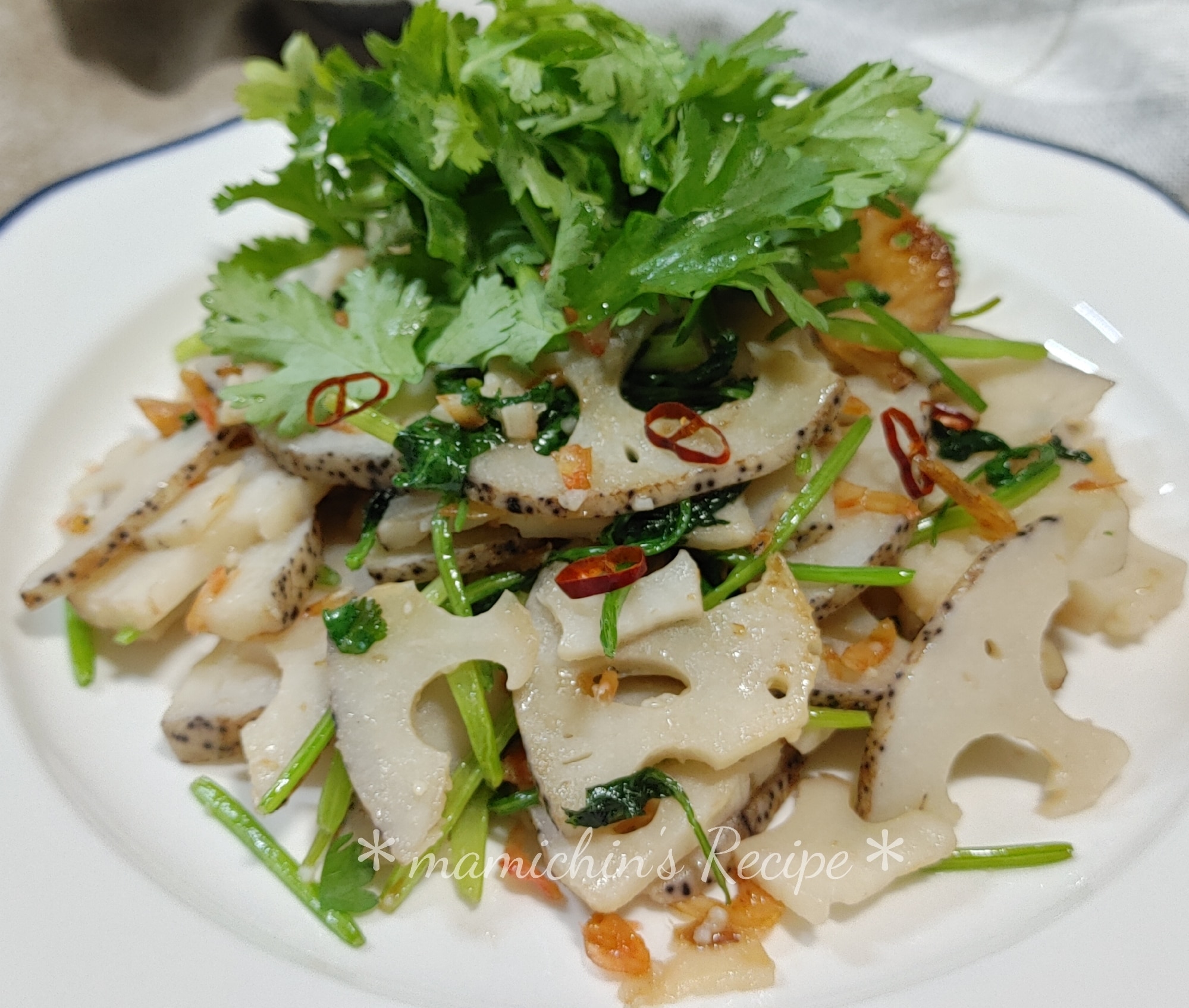 れんこんパパ 3e40126d25d37dbb0337513e54e293