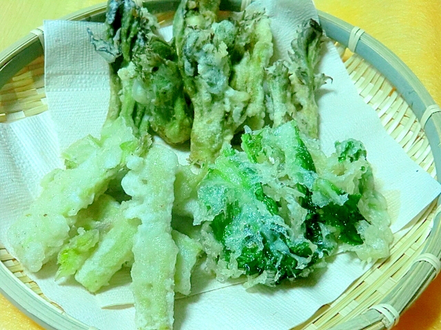 山菜採ったら，天ぷらにどうぞ