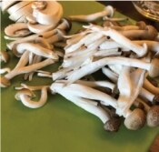 きのこはむ きのこストラップ付ききのこ爪とぎ - MOFUCAT