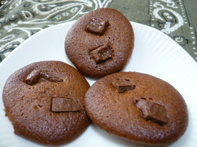 大豆粉、Wチョコクッキー
