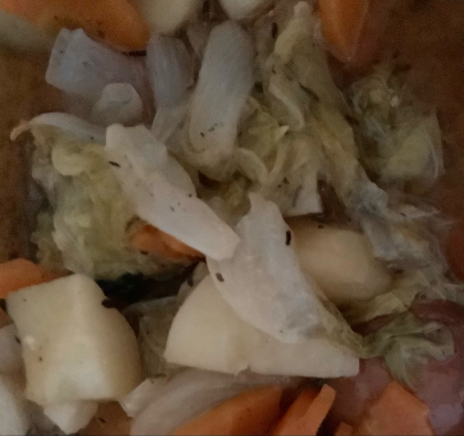 時短！甘くないきつねうどん