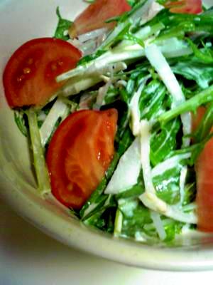シャキシャキ水菜と大根のシーチキンサラダ