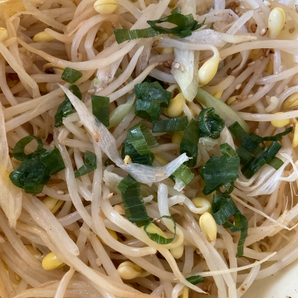 レンジで簡単♡安うまレシピ♡長ネギと豆もやしナムル
