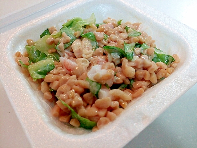 サラダ菜とむき海老と天かすのひきわり納豆