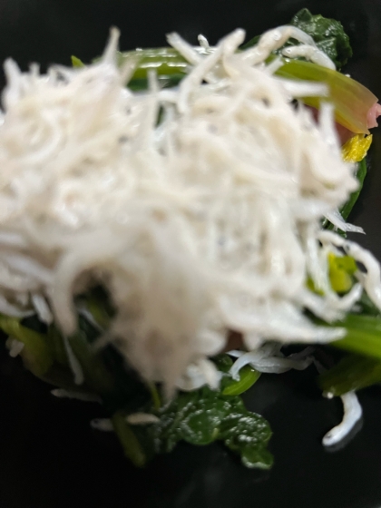ほうれん草としらすのお浸し★カルシウムたっぷり!!