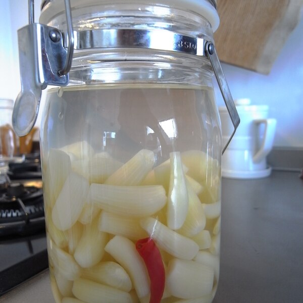 らっきょうの塩漬け レシピ 作り方 By Kram 楽天レシピ らっきょうの塩漬け レシピ 作り方 By Kram 楽天レシピ