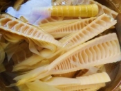 筍と豚肉 味噌煮 レシピ 作り方 By ブルーボリジ 楽天レシピ 筍と豚肉 味噌煮 レシピ 作り方 By ブルーボリジ 楽天レシピ