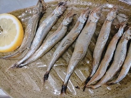 定番朝食！　　「ししゃものグリル焼き」　　♪♪