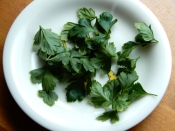 イタリアンパセリ バジルペーストでパスタ レシピ 作り方 By ジョン リーバス 楽天レシピ