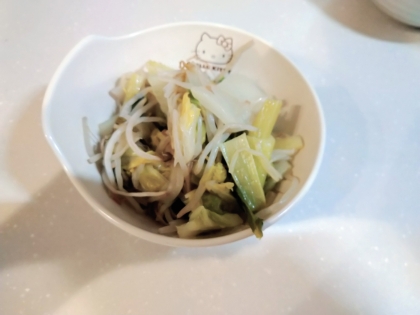 白菜と小松菜もやし炒め