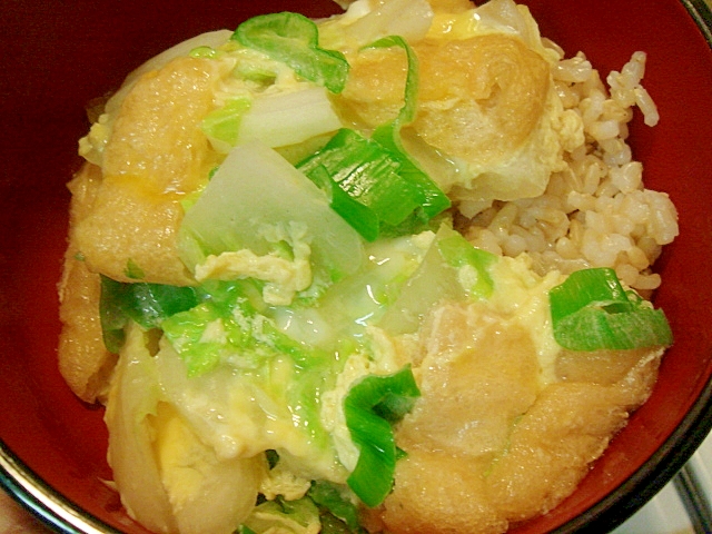 白菜とあげの卵とじ丼