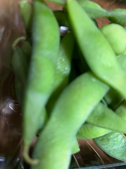 ビールのお供に❦こんぶだし風味の味付き枝豆