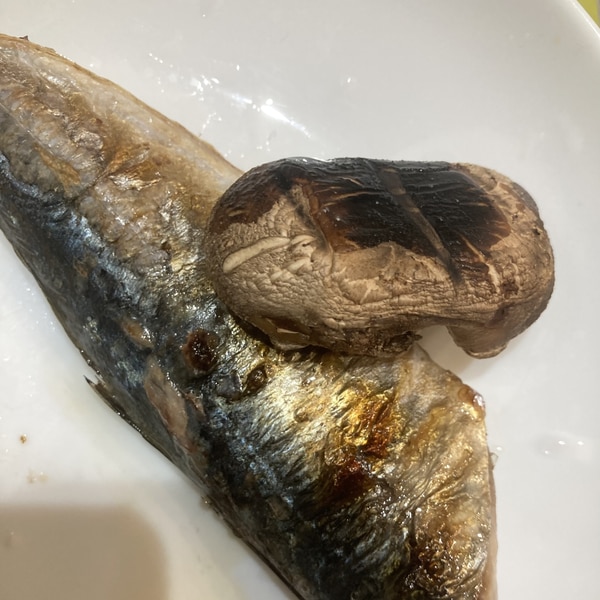 あじの三枚おろしと生どんこしいたけの塩焼き レシピ 作り方 By へんてこへんてこママ 楽天レシピ あじの三枚おろしと生どんこしいたけの塩焼き レシピ 作り方 By へんてこへんてこママ 楽天レシピ