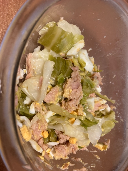 春キャベツではないけどとても美味しかったです。春キャベツの時期にまた作ってみようと思います♪