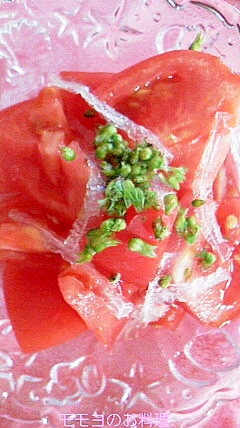 トマトとシソの実と糸寒天のサラダ