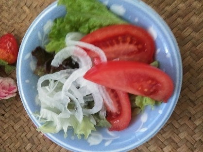 ・新たまねぎ・トマト・フリルレタスのサラダ