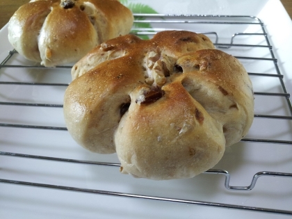 母の為に焼きました。凄く美味しいと喜んでくれました♪私の定番レシピになりました！