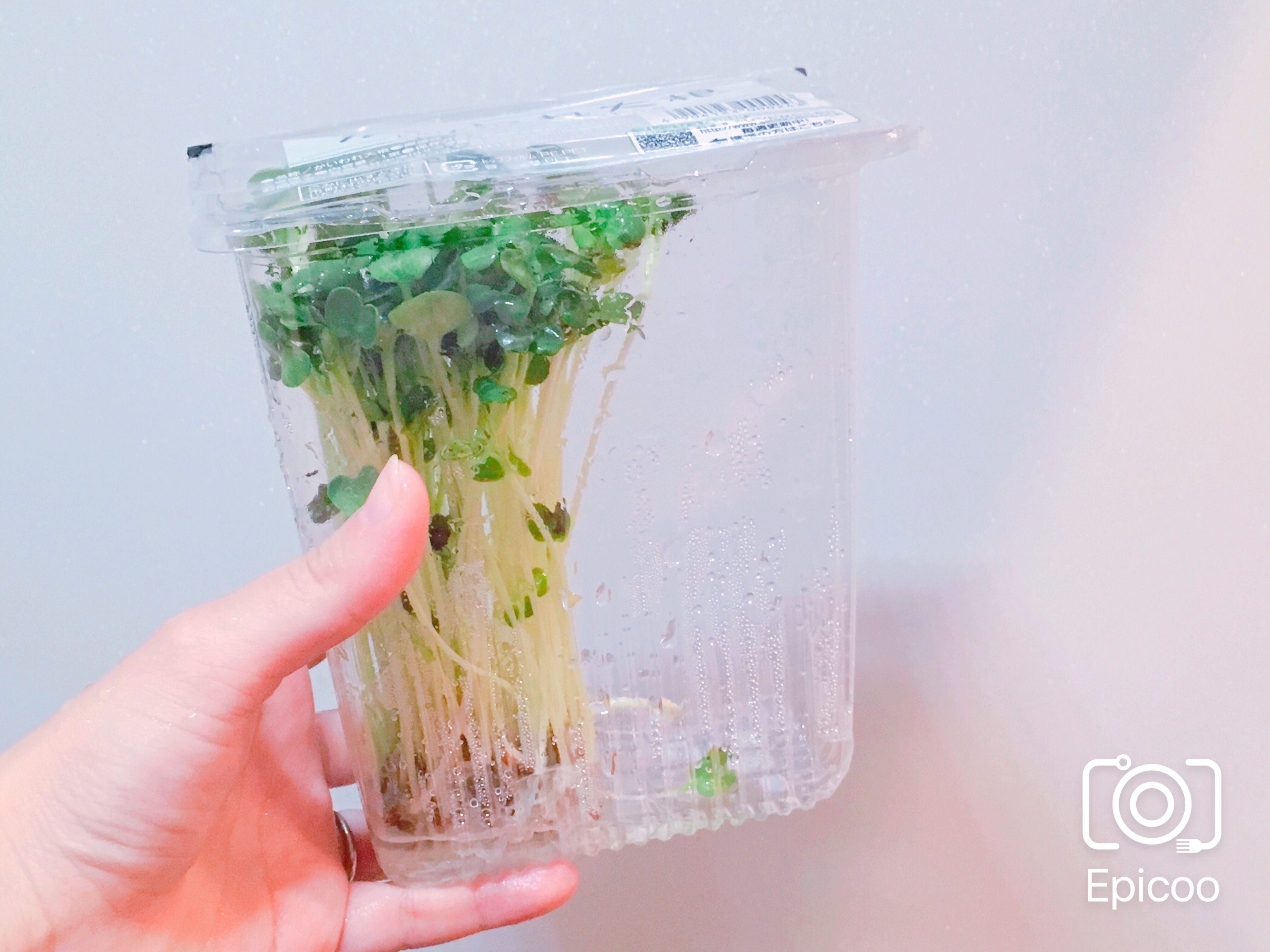 長持ち かいわれ大根の冷蔵保存方法 レシピ 作り方 By 新米幸せママ 楽天レシピ 長持ち かいわれ大根の冷蔵保存方法 レシピ 作り方 By 新米幸せママ 楽天レシピ