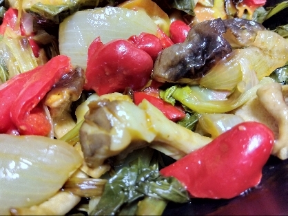 ゴーヤとパプリカのガーリック炒め