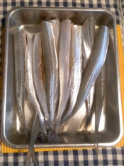 サヨリの塩焼き レシピ 作り方 By テツオ63 楽天レシピ サヨリの塩焼き レシピ 作り方 By テツオ63 楽天レシピ