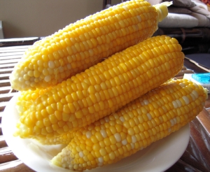 北海道のとうきび ゆでかた レシピ 作り方 By Satanoringo 楽天レシピ 北海道のとうきび ゆでかた レシピ 作り方 By Satanoringo 楽天レシピ