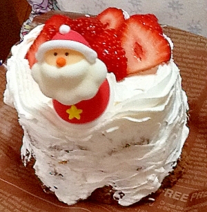 スチーマーで☆クリスマスミニデコケーキ
