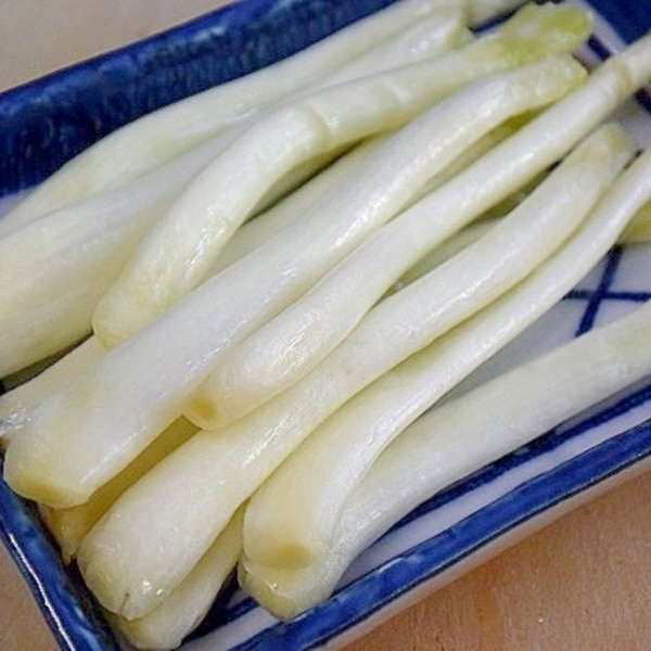 島らっきょう塩漬け 薬味醤油 レシピ 作り方 By Startrek 楽天レシピ 島らっきょう塩漬け 薬味醤油 レシピ 作り方 By Startrek 楽天レシピ