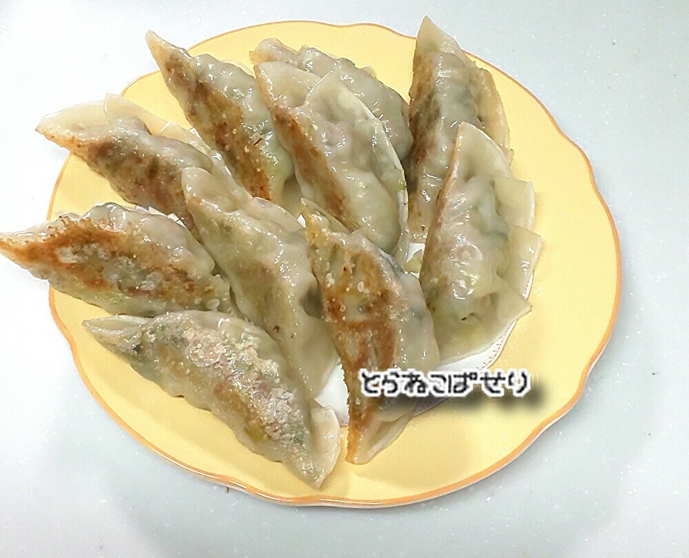 野菜と生姜たっぷり餃子