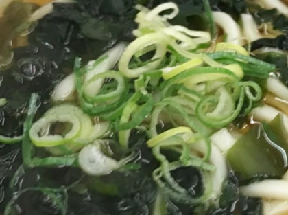 ➿わかめうどん➿