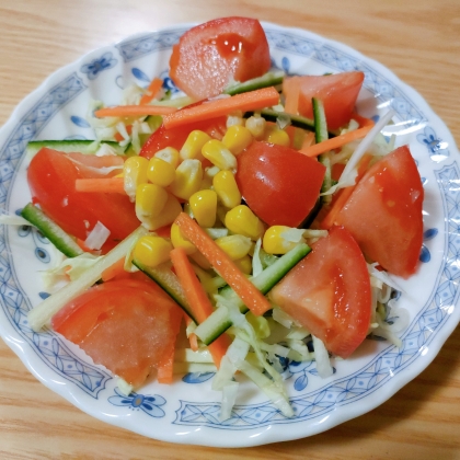 野菜を色々摂れてヘルシーですね！
トマト多めになってますが美味しく頂きました(*^-^*)
レシピありがとうございます☆