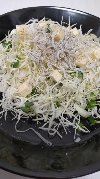 千切りキャベツとしらすのサラダ