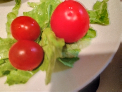 フリルレタス赤茎ほうれん草トマトのヘルシーサラダ