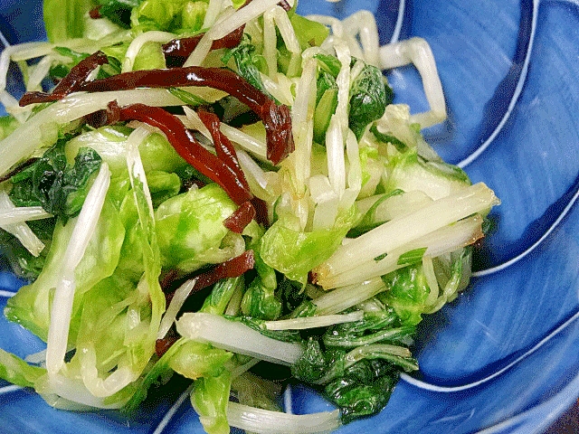 サラダ感覚☆　「春キャベツと水菜浅漬け」