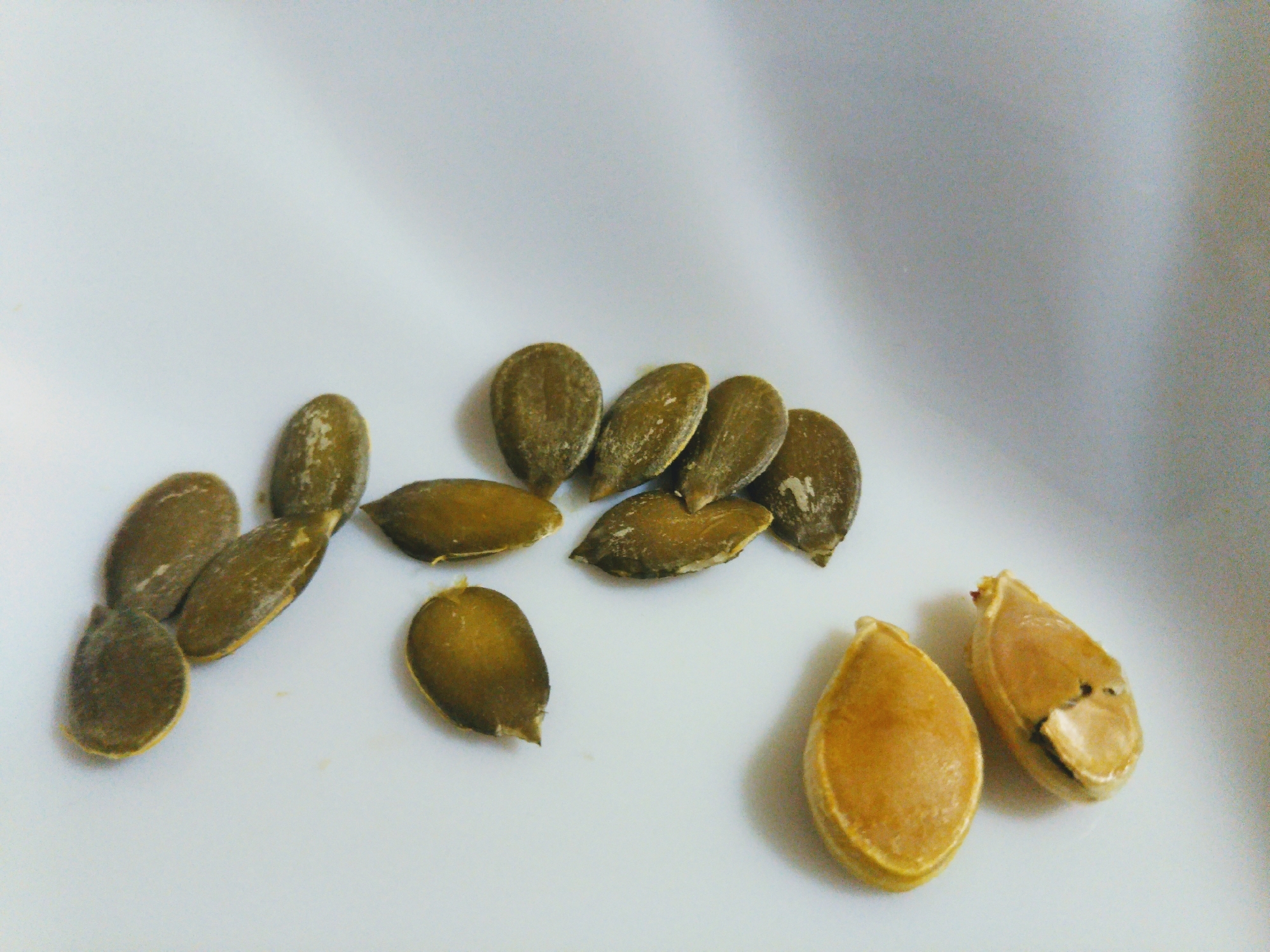 飾りに使える緑のかぼちゃの種 レシピ 作り方 By ざっくり3 楽天レシピ 飾りに使える緑のかぼちゃの種 レシピ 作り方 By ざっくり3 楽天レシピ