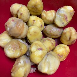ページ目 茹でる用 水レシピ 作り方の人気順 簡単料理の楽天レシピ ページ目 茹でる用 水レシピ 作り方の人気順 簡単料理の楽天レシピ