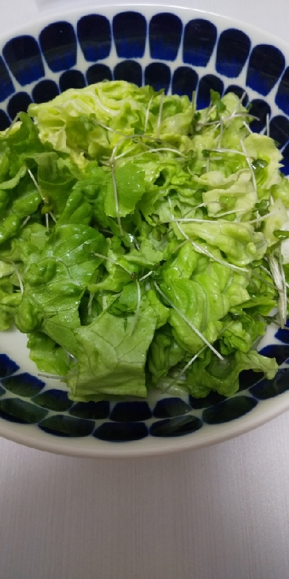 レタスとスプラウトのサラダ