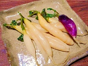 二十日大根☆べったら風塩麴漬け