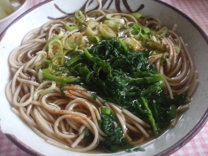 こんにちは～＾＾
麺類は野菜不足になりがちですよね♪春菊プラスはとってもいいですね♡美味しく健康的に頂きました♪ごちそうさまでした(#^.^#)