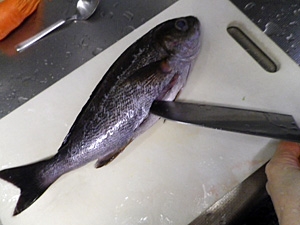 フライパンで いさきの清蒸鮮魚 レシピ 作り方 By Leopoo 楽天レシピ フライパンで いさきの清蒸鮮魚 レシピ 作り方 By Leopoo 楽天レシピ