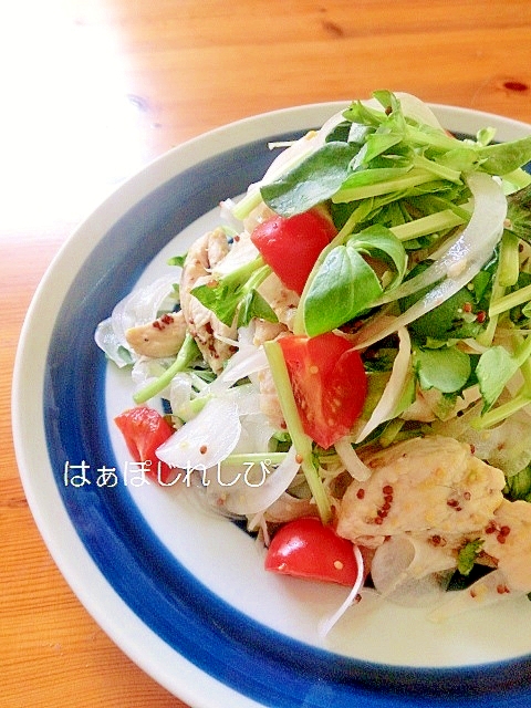 新玉ねぎとそらまめ豆苗とチキンのサラダ仕立て