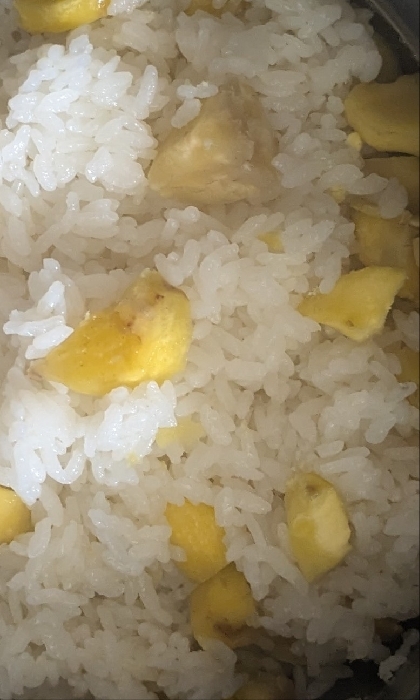 しっとり栗ごはん