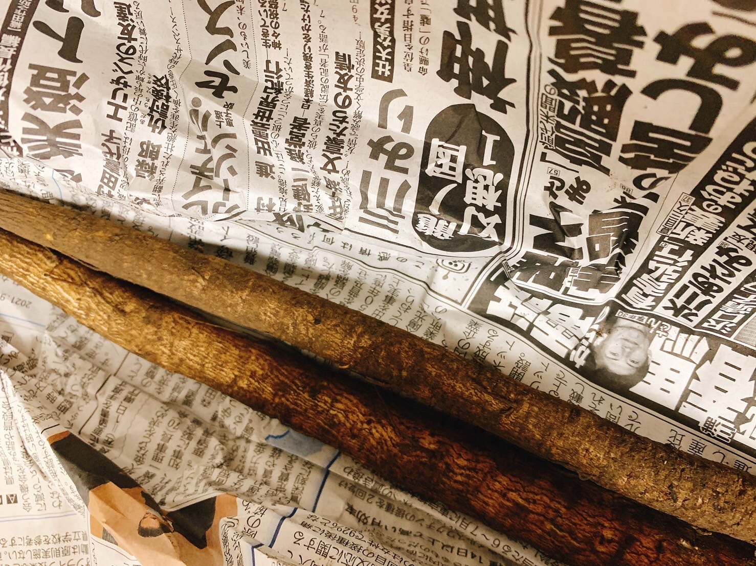 ごぼうの保存方法