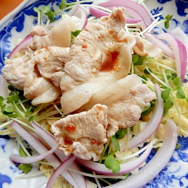 梅酢ドレッシングがかかった彩りしゃぶ肉サラダ