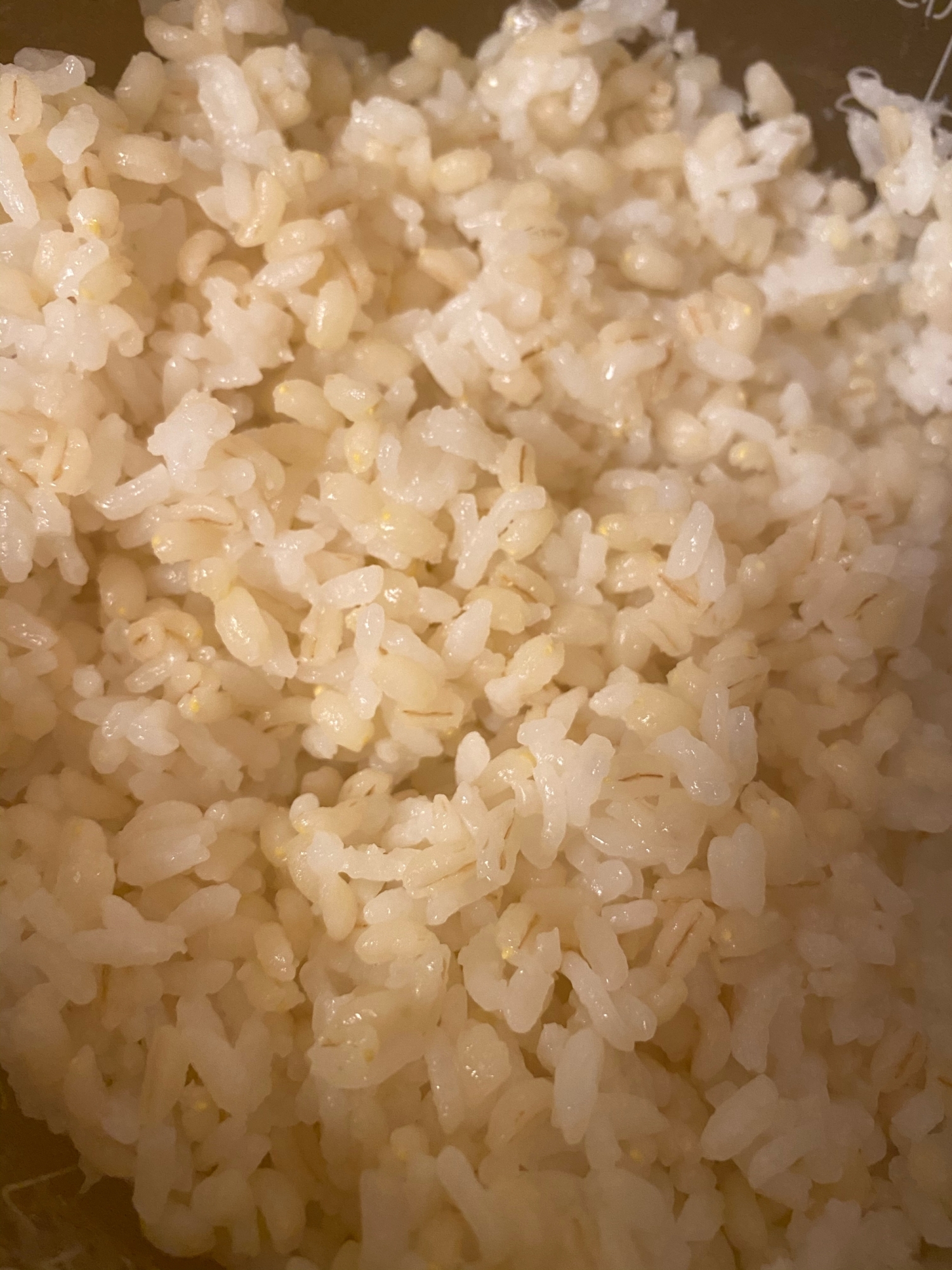 5割炊きもち麦ご飯