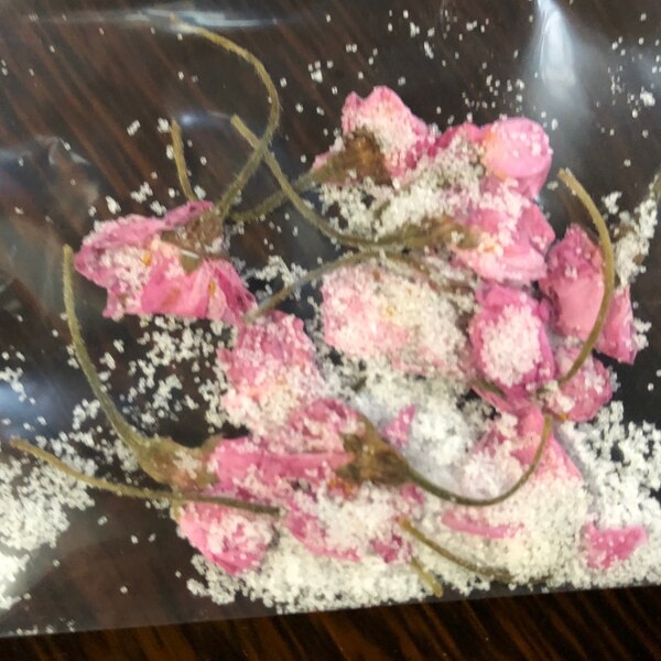 少量でもジッパーで簡単に 桜の塩漬け レシピ 作り方 By 善ちゃん 楽天レシピ 少量でもジッパーで簡単に 桜の塩漬け レシピ 作り方 By 善ちゃん 楽天レシピ