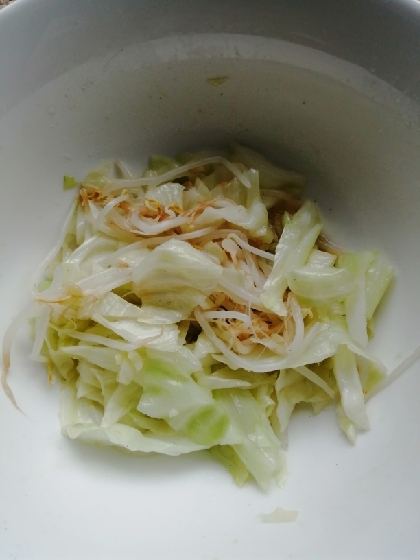 お野菜が高い今日この頃、キャベツともやし、比較的低コストでしっかり野菜を取れて嬉しいです。ごま油が合いますね。