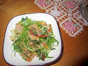 カラフル菜葉と豚肉ブレンドソース