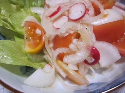 新玉ねぎとトマトの手作りちょい甘ドレッシングサラダ