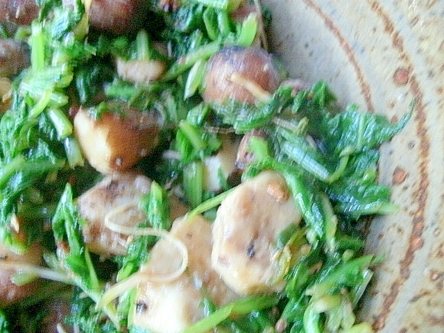 長芋の子と菜っ葉のソテー