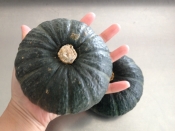 坊ちゃんかぼちゃ 焼きプリン レシピ 作り方 By 栗皮茶 楽天レシピ